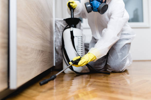 Pest Control Cost in Rockport, TX