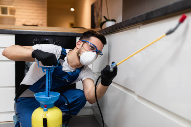 Best Local Pest Control Services  in Rockport, TX