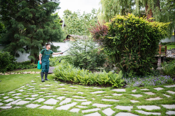 Wasp Removal Services in Rockport, TX
