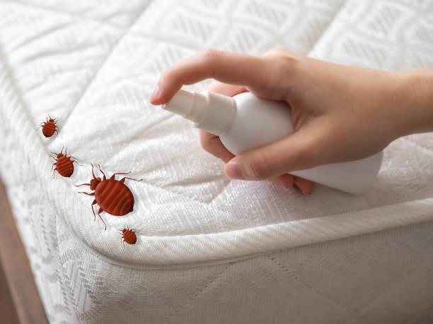 Best Pest Control Near Me in Rockport, TX