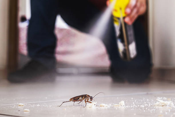 Best Residential Pest Control  in Rockport, TX